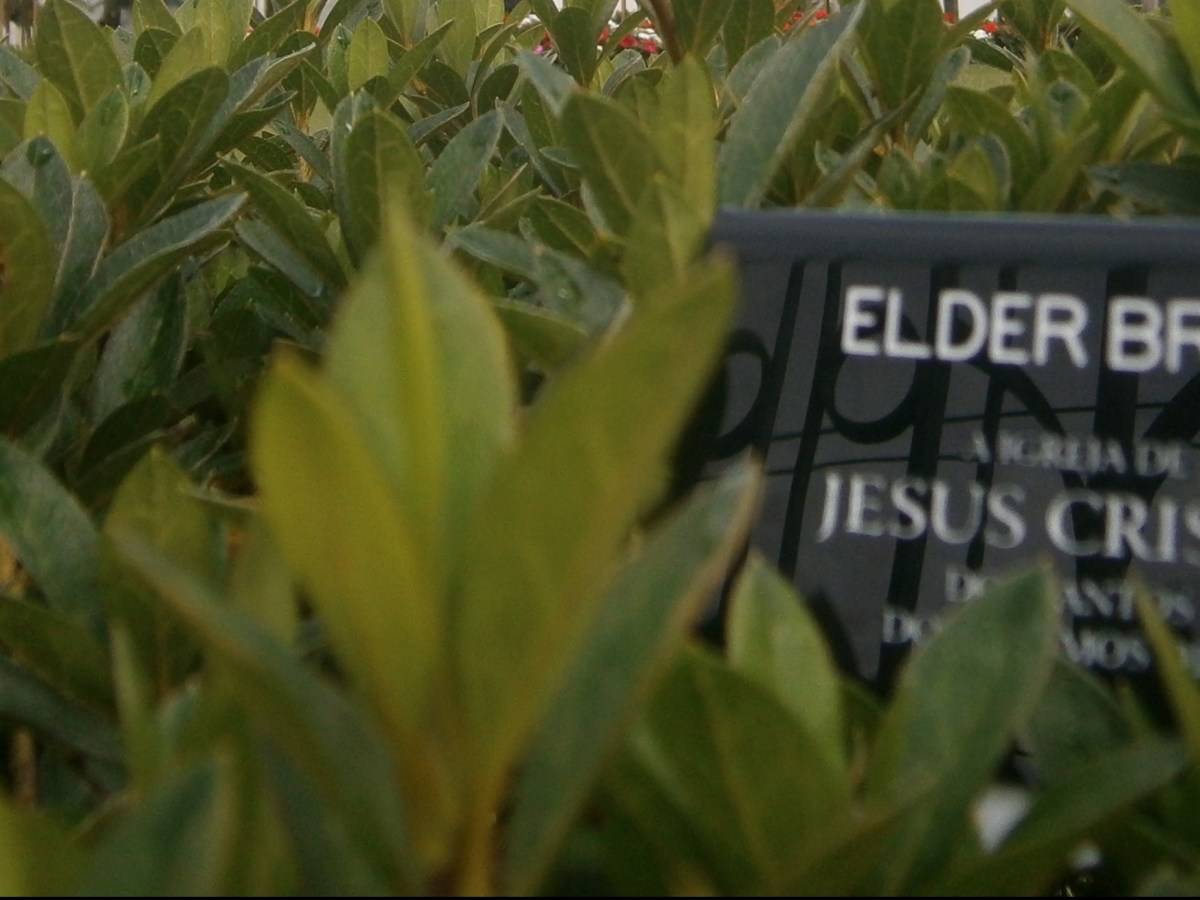 Minha Missão E A Volta Pra Casa Mais&nbsp;Cedo