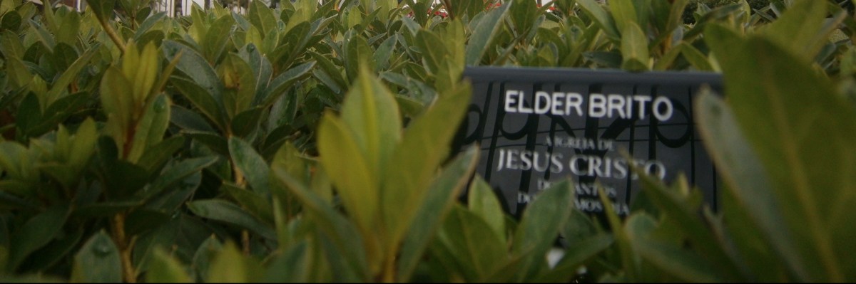 Minha Missão E A Volta Pra Casa Mais&nbsp;Cedo